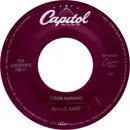 7inch Vinyl Single - Bonnie Raitt - Storm Warning - Jukebox Only