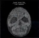 LP - Bonnie Prince Billy - I See A Darkness