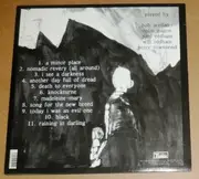 LP - Bonnie Prince Billy - I See A Darkness