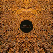 Bonobo - Flashlight
