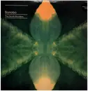 Double LP & MP3 - Bonobo - The North Borders - VINYL + MP3