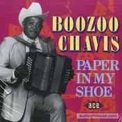 Boozoo Chavis - Paper in My Shoe