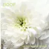 Double LP - Boof - The Hydrangeas Whisper (2lp)
