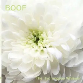 Boof - The Hydrangeas Whisper
