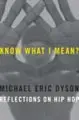 Book - Know What I Mean?