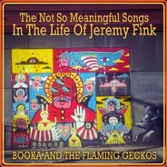 Booka & The Flaming Geckos - The Not So Meaningful Songs In The Life of Jeremy Fink