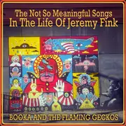 CD - Booka & The Flaming Geckos - The Not So Meaningful Songs In The Life Of Jeremy Fink - Digipak