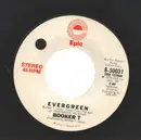 7inch Vinyl Single - Booker T. Jones - Evergreen