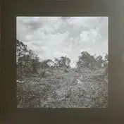 Bookworms - Compact Visual Nature