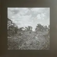 Bookworms - Compact Visual Nature