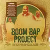 Double LP - Boom Bap Project - Reprogram