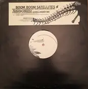 Boom Boom Satellites - Your Reality's A Fantasy But Your Fantasy Is Killing Me