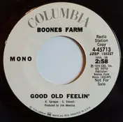 Boones Farm - Good Old Feelin'