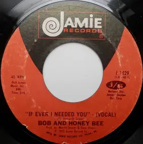 Bob - If Ever I Needed You