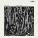 LP - Bob Degen - Sequoia Song