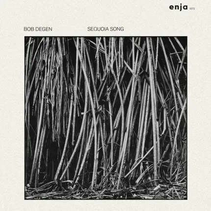 Bob Degen - Sequoia Song