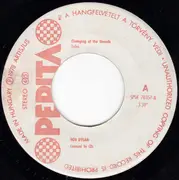 7inch Vinyl Single - Bob Dylan - Changing Of The Guards / New Pony