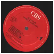 LP - Bob Dylan - Under the Red Sky