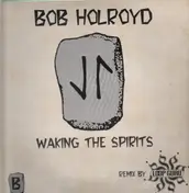 bob holroyd - Waking The Spirits (Loop Guru Remix)