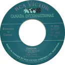 7inch Vinyl Single - Bob Hahn And The Canadians - Canada (If You Believe) / Montréal