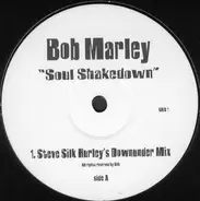 Bob Marley - Soul Shakedown