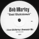 12'' - Bob Marley - Soul Shakedown