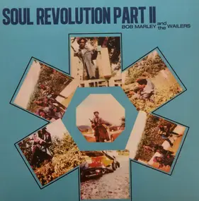 Bob Marley - Soul Revolution Part 2