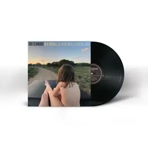 Bob Schneider - In A Roomful Of Blood..