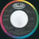 7inch Vinyl Single - Bob Seger And The Silver Bullet Band - Understanding - Jacksonville Pressing