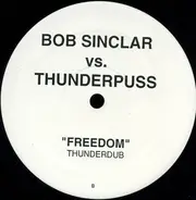 Bob Sinclar vs. Thunderpuss - Freedom