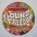 12inch Vinyl Single - Bob Sinclar & Cutee B Feat. Dollarman & Gary 'Nesta' Pine - Sound Of Freedom (Everybody's Free)