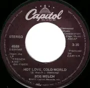 7inch Vinyl Single - Bob Welch - Hot Love, Cold World / Danchiva