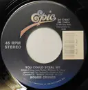 7inch Vinyl Single - Bobbie Cryner - You Could Steal Me
