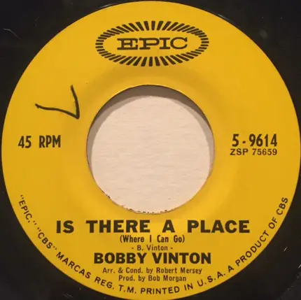 Bobby Vinton - Blue Velvet