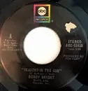 7inch Vinyl Single - Bobby Wright - Seasons In The Sun