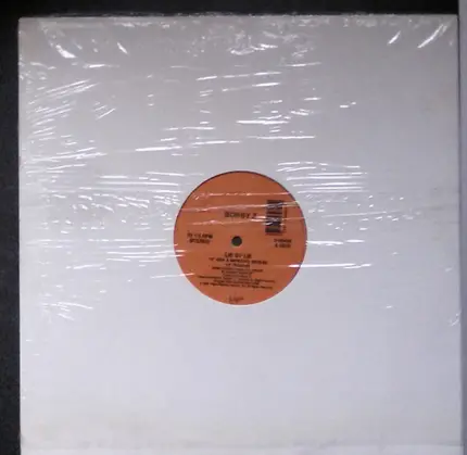 Bobby Z. - Lie By Lie