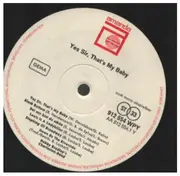 LP - Bobby Bradley's Charleston Band - Yes Sir, That's My Baby