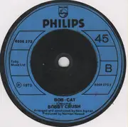 7inch Vinyl Single - Bobby Crush - The Good Old Bad Old Days