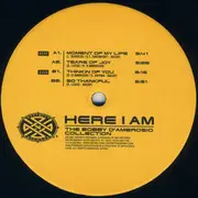 LP-Box - Bobby D'Ambrosio - Here I Am: The Collection