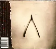 CD - Bobby Long - Wishbone