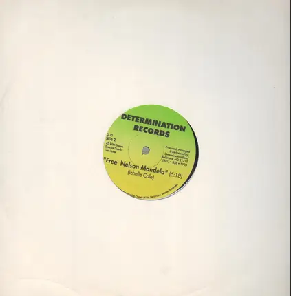 Bobby Stewart / Ichelle Cole - Life Ain't No Joke / Free Nelson Mandela