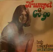 Bob Callaghan Orchestra