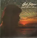 LP - Bob Seger And The Silver Bullet Band - The Distance