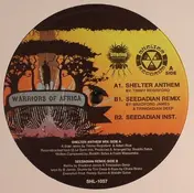 Boddhi Satva - Warriors Of Africa ( Timmy Regisford )