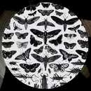 12'' - Bodhi - Imperfection, No More