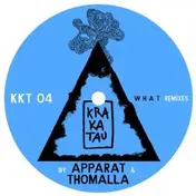Bodi Bill - What Remixes (Apparat & Thomalla)