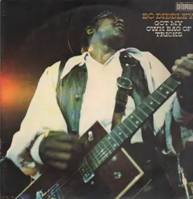 Bo Diddley - Got My Own Bag Of Tricks