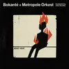 LP - Bokanté /Metropole Orkest /Jules Buckley - What Heat