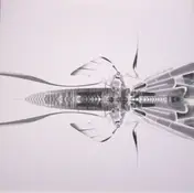 Bola - Mauver