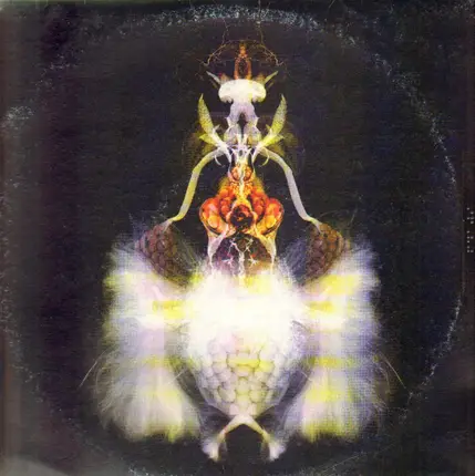 BOLA - Fyuti